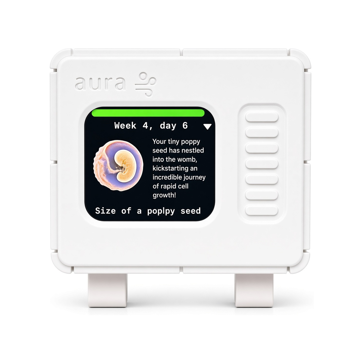 aura showing the pregnancy companion screen
